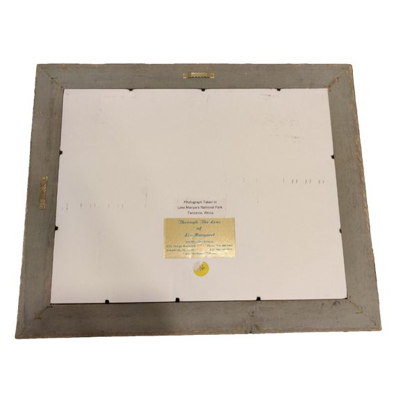 Hippopotamus Photography Lake Manyara National Park Tanzania Africa Lee-Margaret - Picture 8 of 15